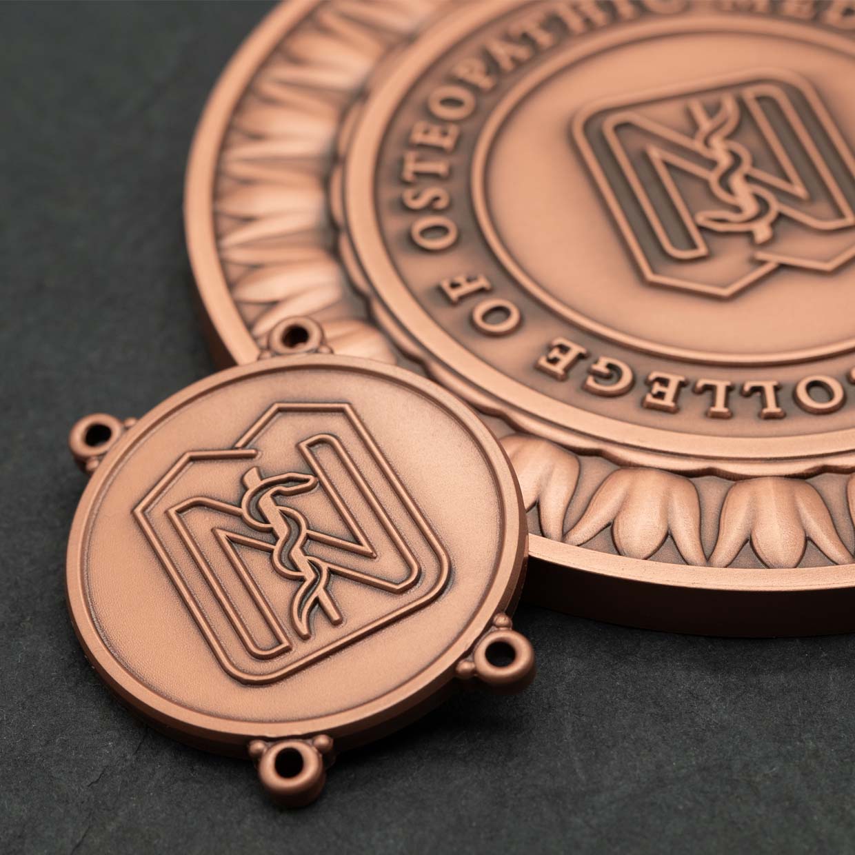 Noorda College Chain of Office Detail